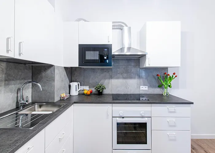 Delux Stara Oficyna 10 アパート *